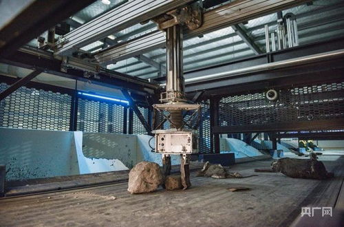 高質量發展看中國 小綠企 長 出大產業 大平臺 聚 成新生態